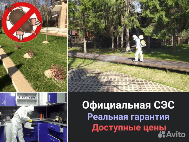 Уничтожение Клопов Тараканов Клещей Кротов Мышей Уничтожение Клопов Тараканов Клещей Кротов Мышей