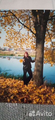 Подготовка к школе, репетитор 1-6 класс