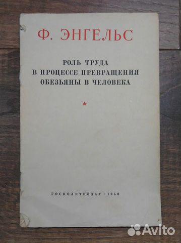 Превращение обезьяны в человека картинки