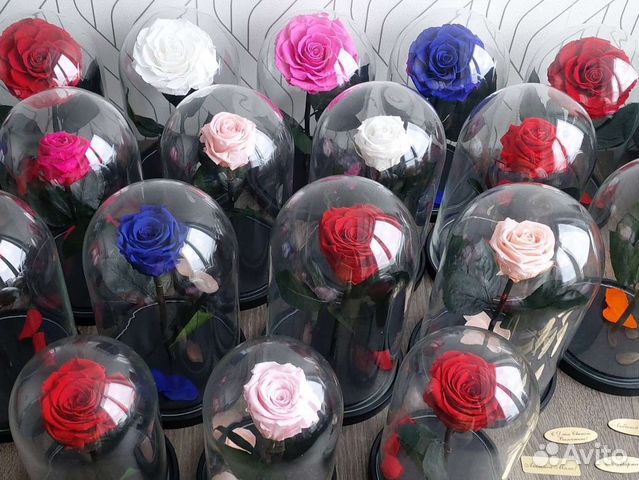 Розы в колбе