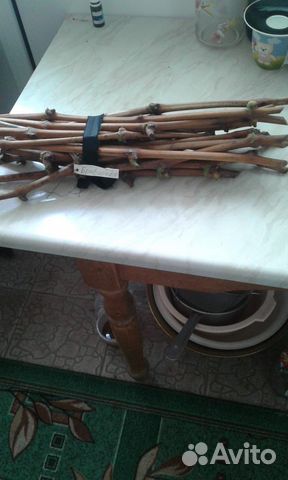 Черенки винограда