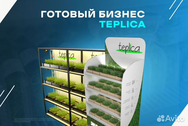 Готовый бизнес - Ферма микро-зелени