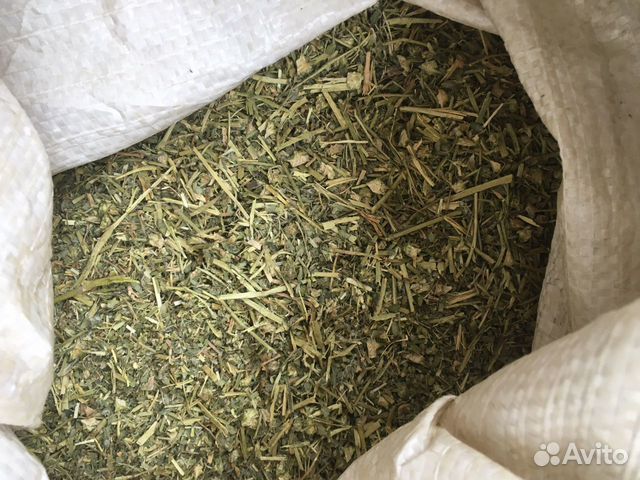 Якорцы стелющиеся