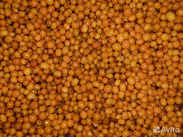 Облепиха с бесплатной доставкой