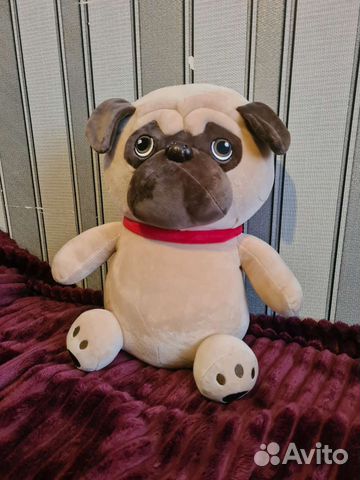 Мопс. Собака