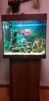 Аквариум с тумбой