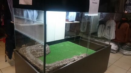 Террариумы на заказ