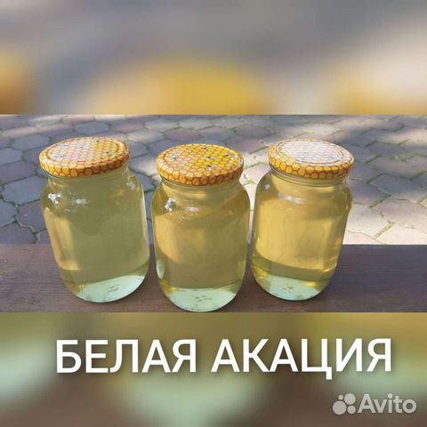 Мёд Ростовская обл