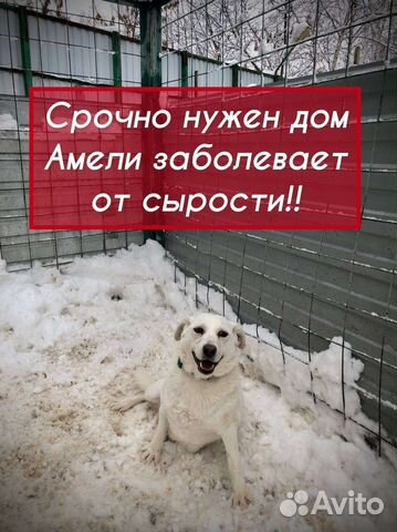 аквариум в добрые руки бесплатно москва