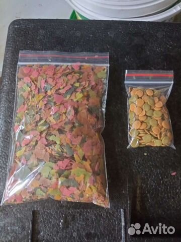 Мотыль,дафния,артемия/цисты,циклоп,сухой корм