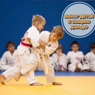 Дзюдо от 4 до 8 лет Мытищи