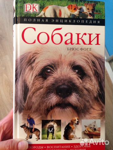 Новые книги и энциклопедии