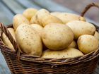Картофель свежий урожай на дом объявление продам