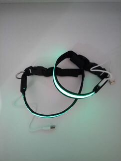 LED Светящийся Ошейник с USB зарядкой