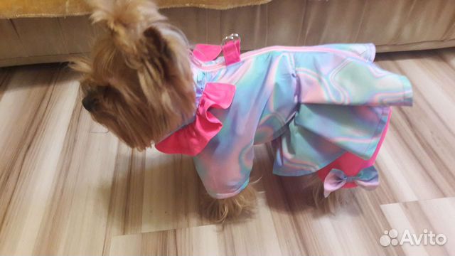 Комбинезоны на осень для маленьких собачек