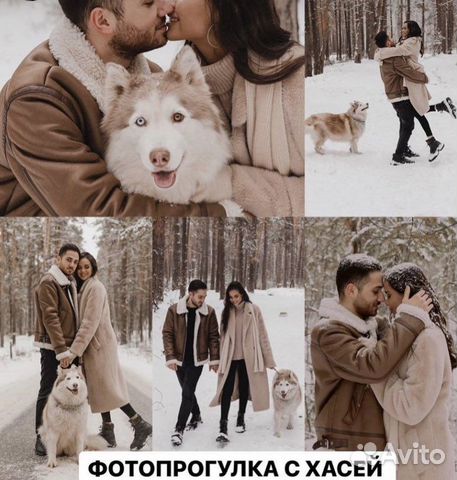 Хаски для фотосессии