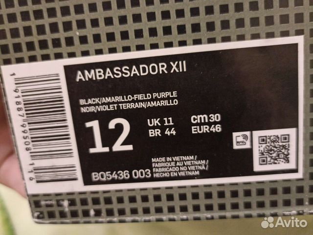 Nike Lebron 12 Ambassador