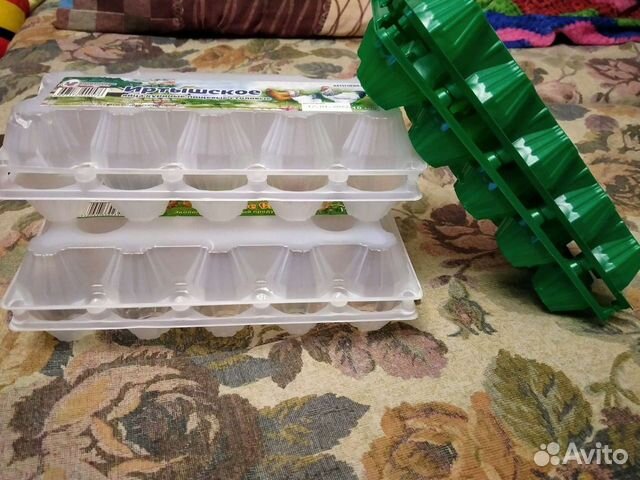 Ячейки для яиц