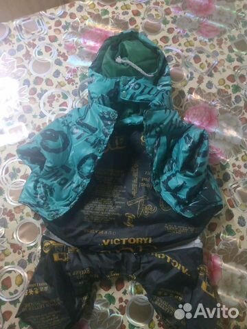 Одежда для маленьких собак