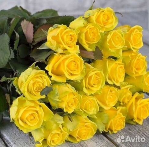 Желтые розы Букет желтых роз 31 роза 51 роза
