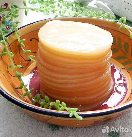 Чайный гриб комбуча на зеленом и черном чае