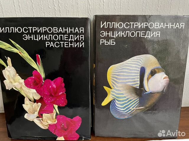 Учебная литература, словари, справочники