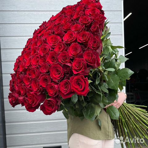 Метровые розы, красные розы букет, 101 роза