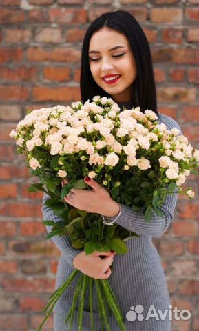 Роза кустовая