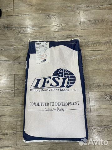 Семена сладкой кукурузы