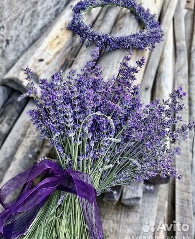 Букет лаванды