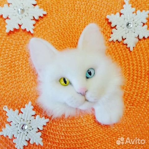 Брошь ручной работы Кошка