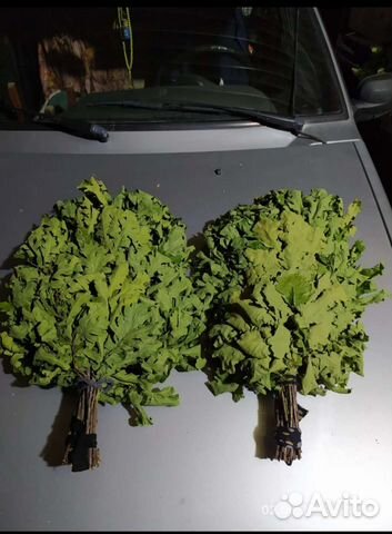 Веники для бани дуб, пихта