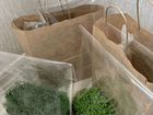 Ферма микрозелени, стеллаж для выращивания объявление продам