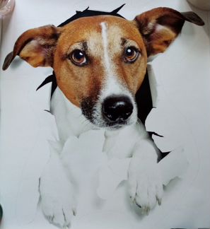 Наклеика стикер животные