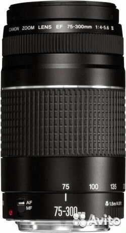 Canon EF 75-300mm f/4-5.6 III