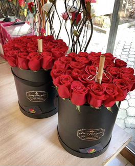 Красные Розы