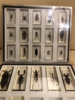 Коллекция насекомых Деагостини