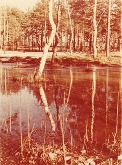 Автограф Лаврентия Павловича Берии и др. Оригинал