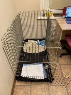 Вольер для собак