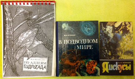 Рыбы в аквариуме