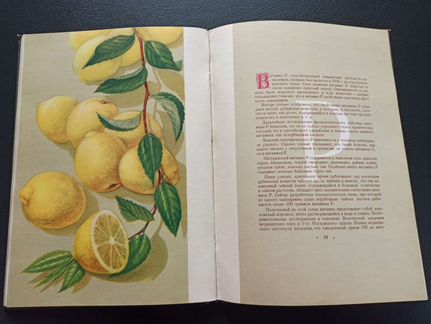 Каталог Витамины. подарочное издание СССР