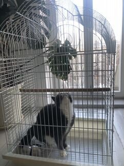 Большая клетка 95х60х50