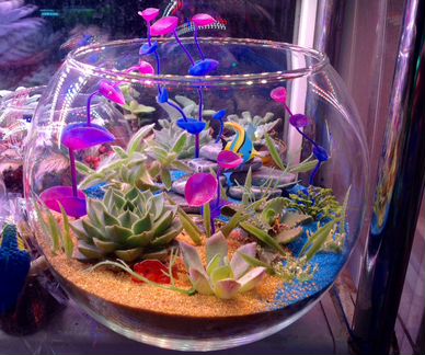 Флорариум 