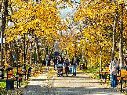 Гагаринский бульвар краснодар фото