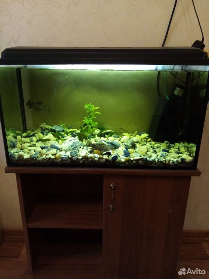 Aquarium