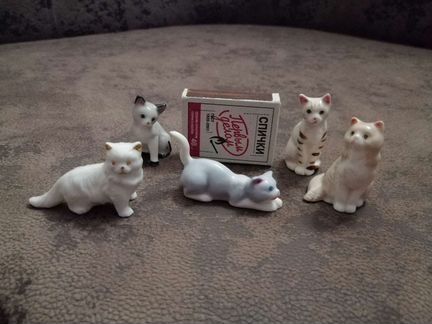 Кот, кошка, котёнок, мини