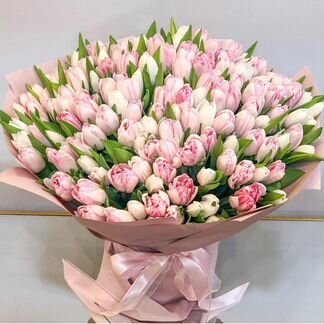 Свежий букет. Тюльпан