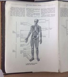 Репетитор по химии и биологии