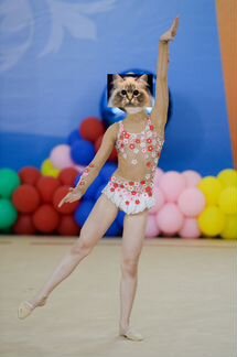 Купальник для xудожественной гимнастики