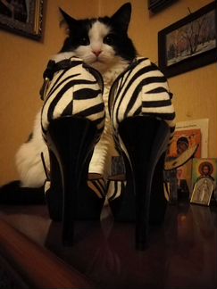 Туфли женские